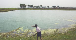 Un estanque en la aldea de Dhokandpur, India, usado para recolectar agua de lluvia que se utiliza exclusivamente para consumo humano. El agua se trata en una pequeña planta de filtración y posteriormente se suministra a la aldea.