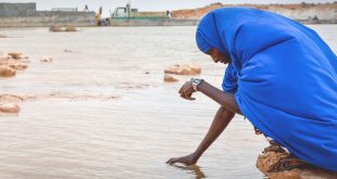 Hay riesgos muy altos de escasez de agua y de inestabilidad en el sistema alimentario, incluso con un aumento de temperatura de 1,5°C por encima de los niveles preindustriales.