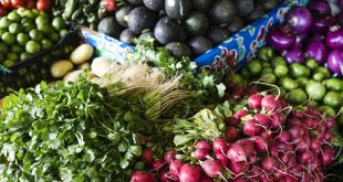 Verduras producidas por los participantes en el Proyecto Estratégico de Seguridad Alimentaria de la FAO y la Secretaría de Agricultura, Ganadería, Desarrollo Rural, Pesca y Alimentación de México.