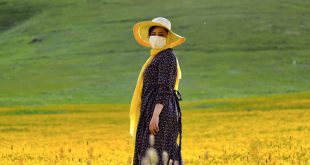 Una mujer en un campo de flores en Ardabil, Irán.