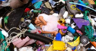 La basura plástica en las playas causa graves daños a los ecosistemas y representa un riesgo de supervivencia para las comunidades costeras.