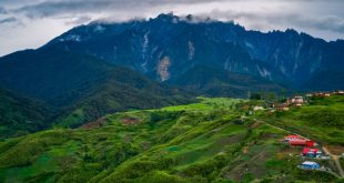 Malasia es uno de los países con la mayor biodiversidad del mundo