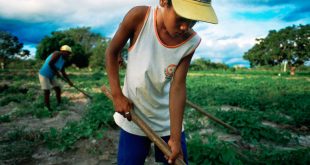 Un joven trabajando en una zona rural del noreste de Brasil.