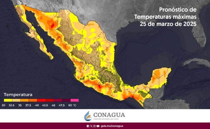 infografia_general