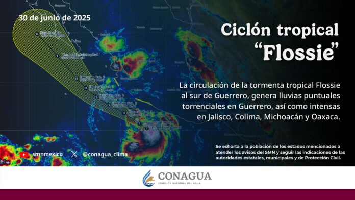infografia_general