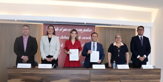 TAAM 13 de abril de 2026 (2)