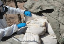 Desmantelan laboratorios clandestinos