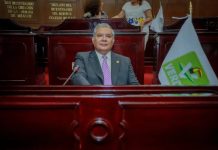 Propone Magaña de la Mora prohibición expresa contra el envenenamiento de animales por parte de autoridades
