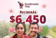 Realiza Sembrando Vida el pago del jornal a 415 mil 499 sembradoras y sembradores del país