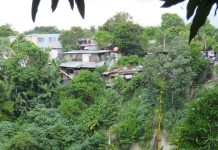 América Latina y el Caribe enfrentan fenómenos climáticos cada vez más extremos