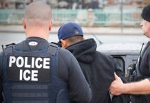 EU dice que entrega de 313 personas requeridas por la justicia mexicana en tiempos de Trump