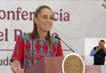 Contra nepotismo y a favor de equidad de género en elecciones 2027: Sheinbaum