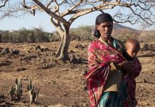 La OMM confirma a un 80% la aparición de El Niño, que provocará fenómenos meteorológicos más extremos