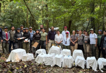 Conanp reintrodujo 17 primates, 16 monos araña y un mono saraguato en el Parque Nacional y Zona de Monumentos Arqueológicos de Palenque, Chiapas