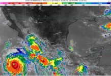 Chubascos con lluvias puntuales fuertes (25 a 50 mm): Michoacán (norte y este)
