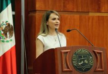 Reflexionan sobre los nuevos desafíos para la función jurisdiccional en la protección jurídica de los seres sintientes
