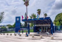 Administración de Yarabí Avila adelanta segunda quincena de julio a las y los trabajadores nicolaitas