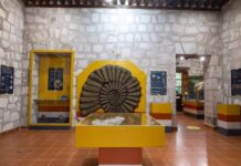 UMSNH y Secretaría de Cultura Feeral en estrecha colaboración; promueven el patrimonio peleontológico