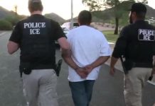 Sheinbaum rechaza orden de Trump de reanudar detenciones migratorias durante operativos de tránsito