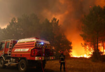Francia, España y Portugal, están sufriendo una ola de incendios como “los más virulentos de la historia”