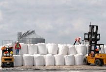 Anuncia Presidenta Sheinbaum incremento de 512% en la exportación de azúcar a EU