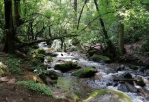 Semarnat impulsa saneamiento de tres ríos
