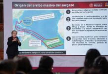 Gobierno invierte 2 mil mdp y refuerza estrategia para contener el sargazo en Quintana Roo