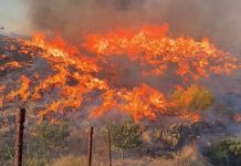 Al menos 12 muertos y 23 personas sin localizar en un incendio forestal en Los Gallardos, España