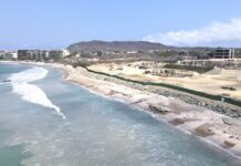 Gobierno federal cancela proyecto inmobiliario Cantiles de Mita en la Playa Las Cocinas, en Nayarit, lugar de anidación de las tortugas
