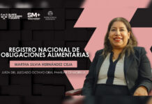 Registro Nacional de Obligaciones Alimentarias fortalece la protección de niñas, niños y adolescentes: Martha Silva Hernández Ceja