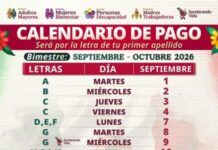 En septiembre, pago de Programas para el Bienestar: Leticia Ramírez