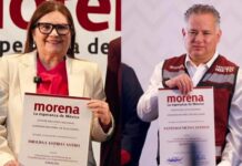 Imelda Castro y Santiago Nieto ahora son coordinadores en Defensa de la Transformación de Sinaloa y Querétaro, respectivamente: MORENA