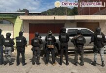 Detienen a 12 presuntos extorsionadores de aguacateros