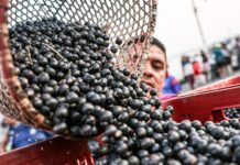 América Latina busca convertir su potencial agroalimentario en inversiones para el campo