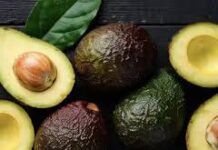 México solicita a la brevedad, reunión con Departamento de Agricultura de EU, para reanudación de exportación de aguacate