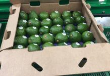 Estados Unidos suspendió temporalmente los envíos de aguacate procedentes de Michoacán