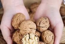 China impone a las nueces pecanas mexicanas gravámenes de entre el 17.8% y el 51.6%