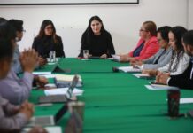 Presidenta de Asuntos Electorales, Diana Espinoza, se reúne con Consejeros del IEM