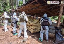 Desmantelan cuatro laboratorios clandestinos utilizados para la producción de drogas sintéticas en Carácuaro, Michoacán, así como en Zirándaro y Coahuayutla