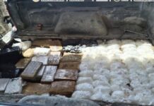 Aseguran 341 kilos de droga en Sonora y BC