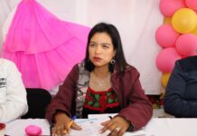 Erendira Isauro lleva al Congreso iniciativas para proteger a mujeres indígenas