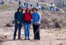 Reforesta SCOP el segundo anillo periférico de Morelia con más de 36 mil árboles endémicos