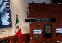 Aprueban nacionalidad única para candidaturas