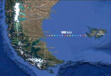 Reino Unido ubica a Milei: Las Islas Malvinas son británicas