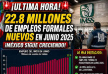 El IMSS cerró agosto con 22.8 millones de puestos de trabajo afiliados, la cifra más alta para ese mes y la segunda histórica