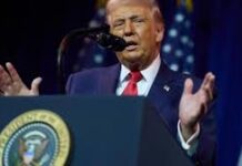 Trump reconoce avances de México contra el narco