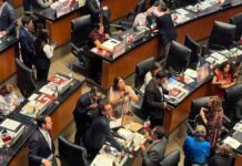 Comisiones del Senado aprueban minuta contra doble nacionalidad de aspirantes a Presidencia y gubernaturas