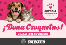 Poder Judicial de Michoacán inicia “Justicia con Huella” campaña solidaria en favor de perros y gatos