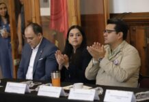 Sostienen diputadas y diputados de la 76 Legislatura encuentro para visibilizar el lupus y enfermedades autoinmunes