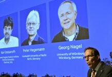 Nobel de Medicina a pioneros de la optogenética. Los científicos desarrollaron una técnica que permite controlar la actividad de las neuronas mediante proteínas sensibles a la luz.